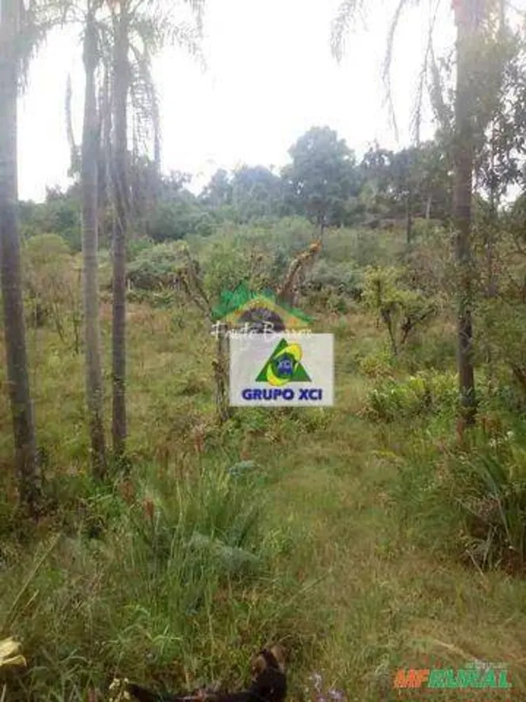 Fazenda, 77 hectares - Foto 5