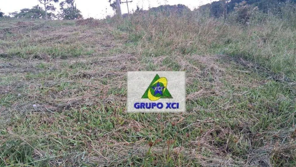 Fazenda, 77 hectares - Foto 10