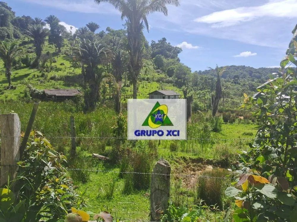 Fazenda, 77 hectares - Foto 6