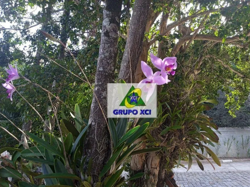 Chácara, 3 quartos, 2000 m² - Foto 5