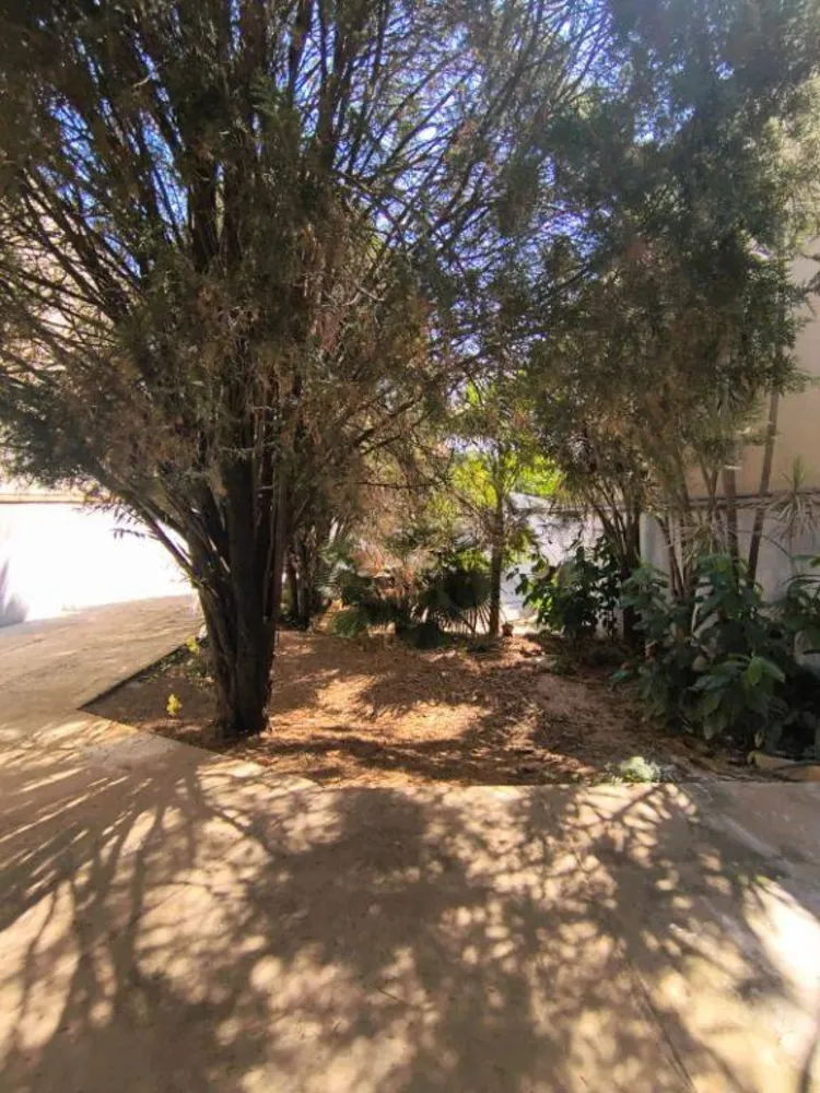 Casa, 3 quartos, 200 m² - Foto 10