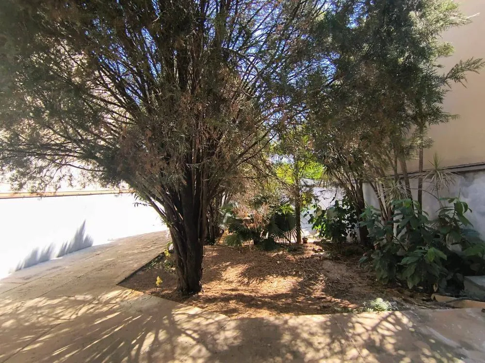 Casa, 3 quartos, 200 m² - Foto 12