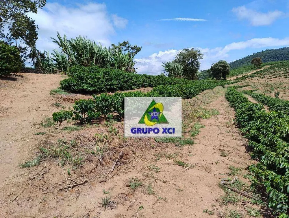 Sítio, 29 hectares - Foto 11