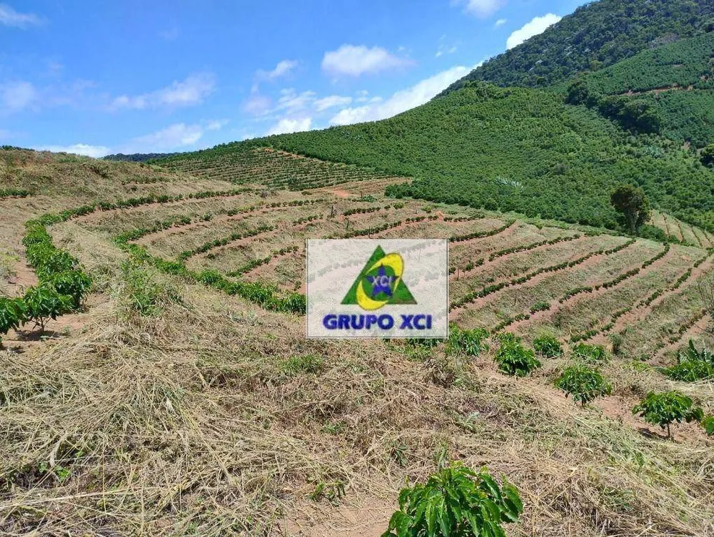 Sítio, 29 hectares - Foto 15
