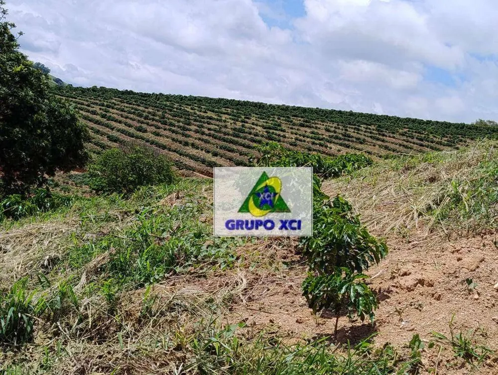 Sítio, 29 hectares - Foto 10