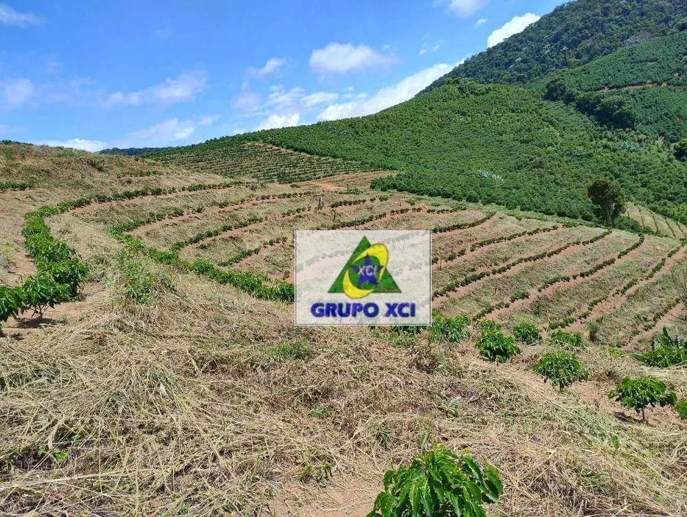 Sítio, 29 hectares - Foto 13