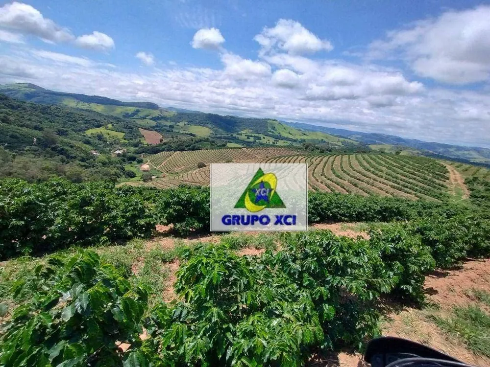Sítio, 29 hectares - Foto 12