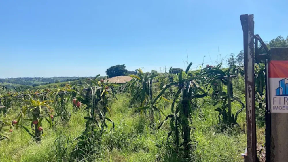 Sítio, 6 quartos, 5 hectares - Foto 4