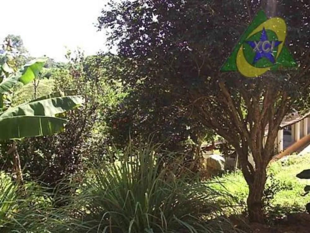 Sítio, 3 quartos, 4 hectares - Foto 7