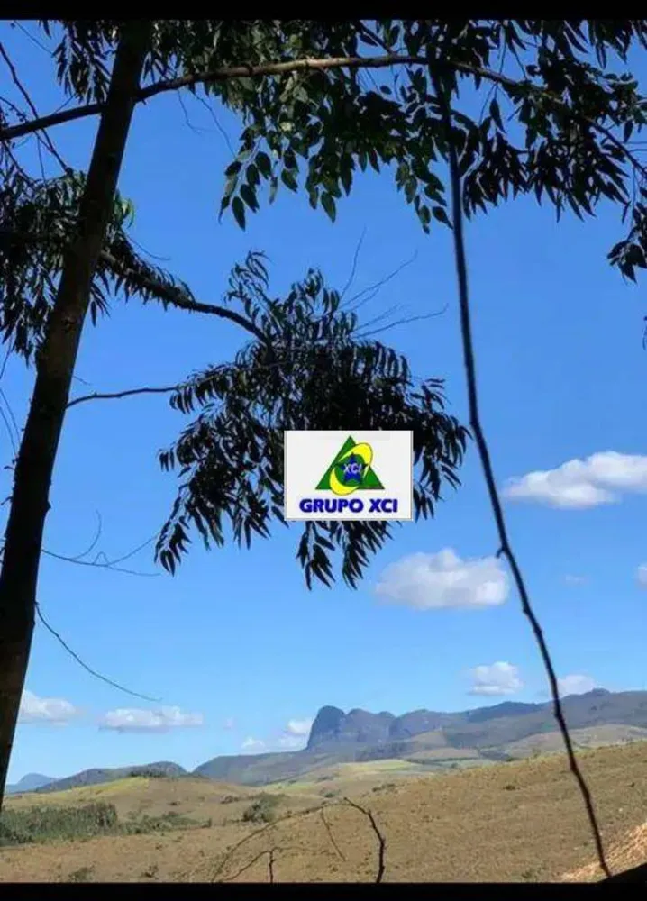 Fazenda, 60 hectares - Foto 4