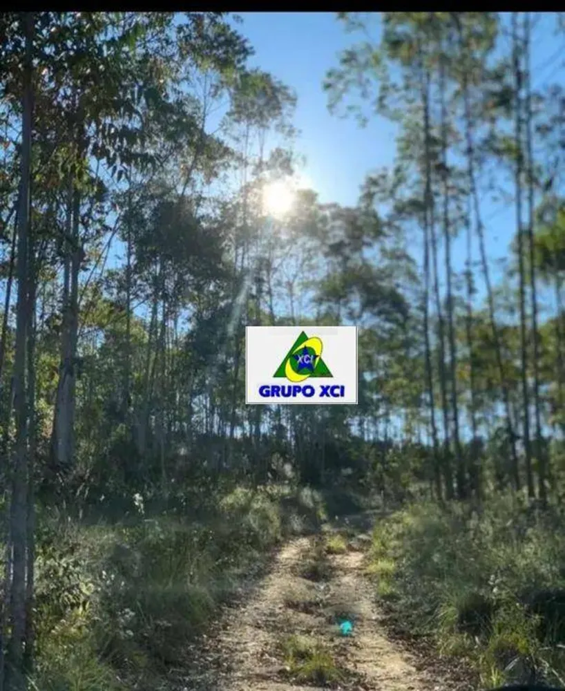 Fazenda, 60 hectares - Foto 8