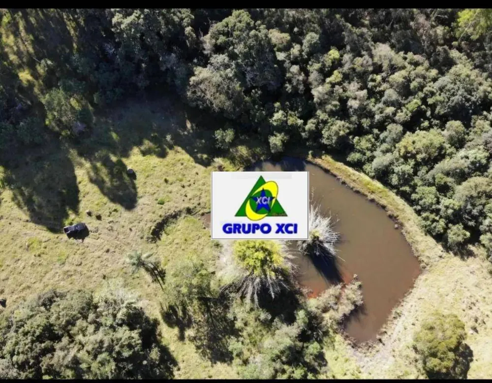 Fazenda, 60 hectares - Foto 6