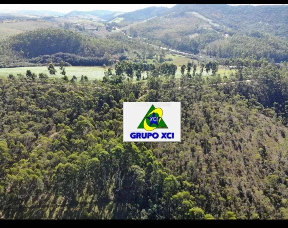 Fazenda, 60 hectares - Foto 7