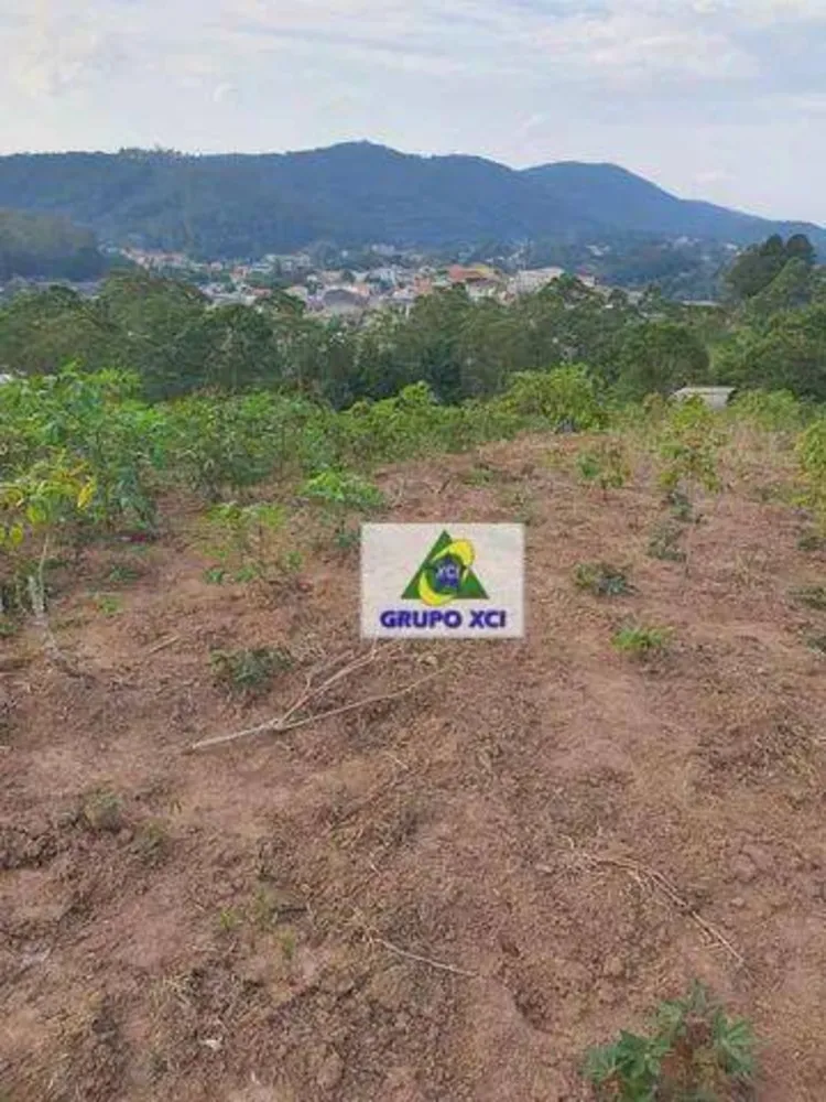 Terreno, 3 hectares - Foto 1