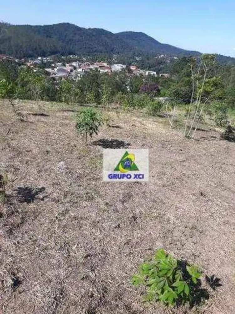 Terreno, 3 hectares - Foto 4