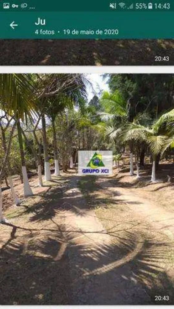 Terreno, 3 hectares - Foto 1