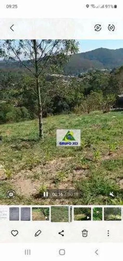 Terreno, 3 hectares - Foto 4