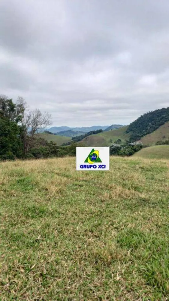 Sítio, 39 hectares - Foto 10