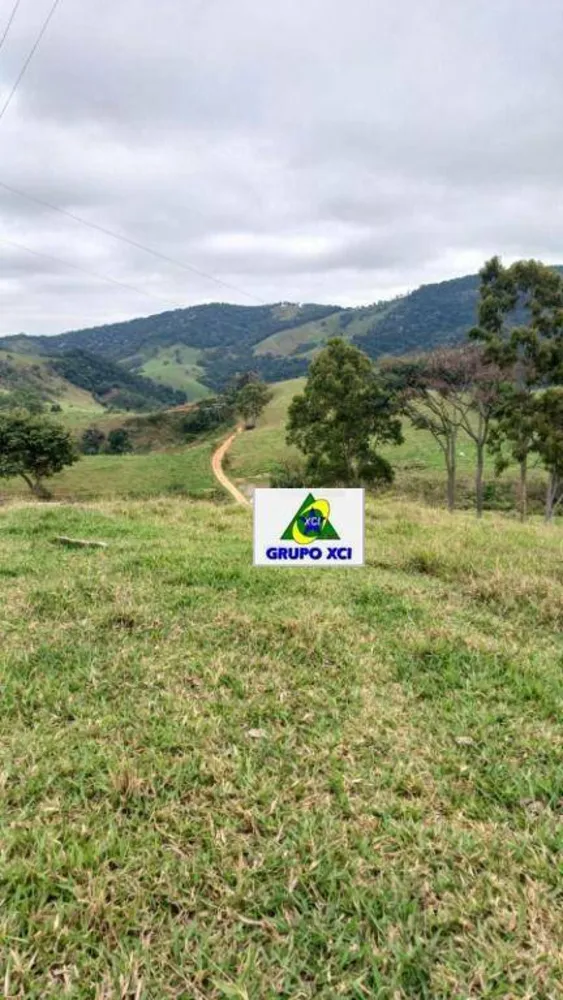 Sítio, 39 hectares - Foto 9