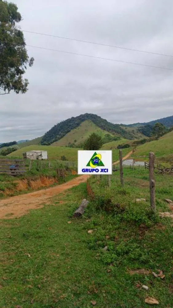 Sítio, 39 hectares - Foto 2