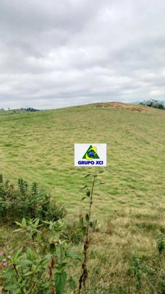 Sítio, 39 hectares - Foto 6