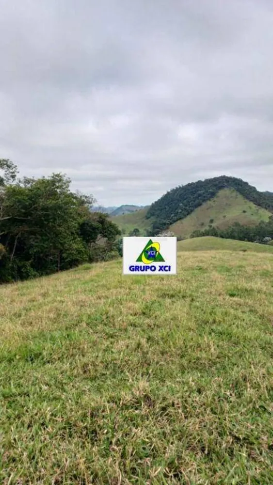 Sítio, 39 hectares - Foto 8