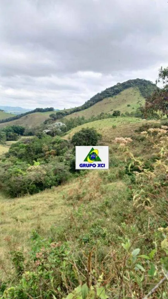 Sítio, 39 hectares - Foto 4