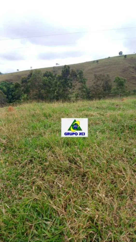 Sítio, 39 hectares - Foto 11