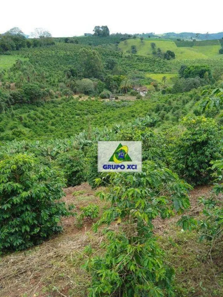 Sítio, 44 hectares - Foto 11