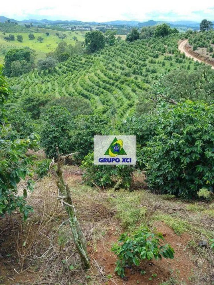 Sítio, 44 hectares - Foto 6
