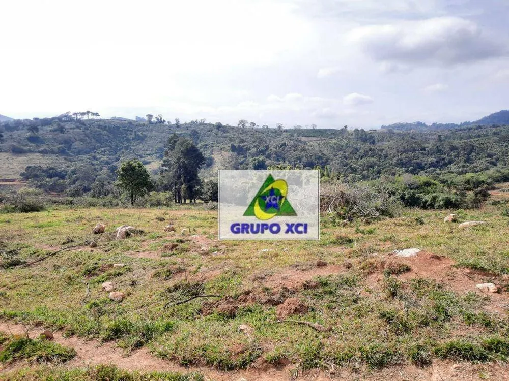 Fazenda, 557 hectares - Foto 7