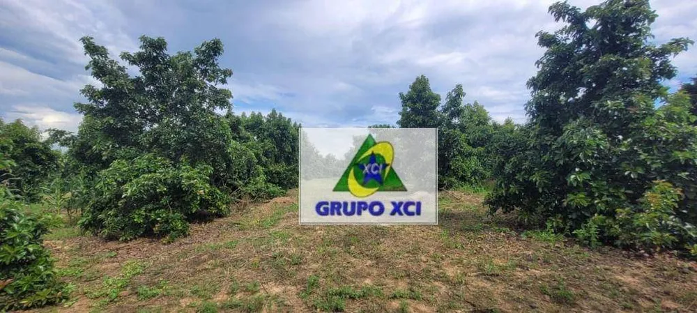 Sítio, 2 quartos, 5 hectares - Foto 8