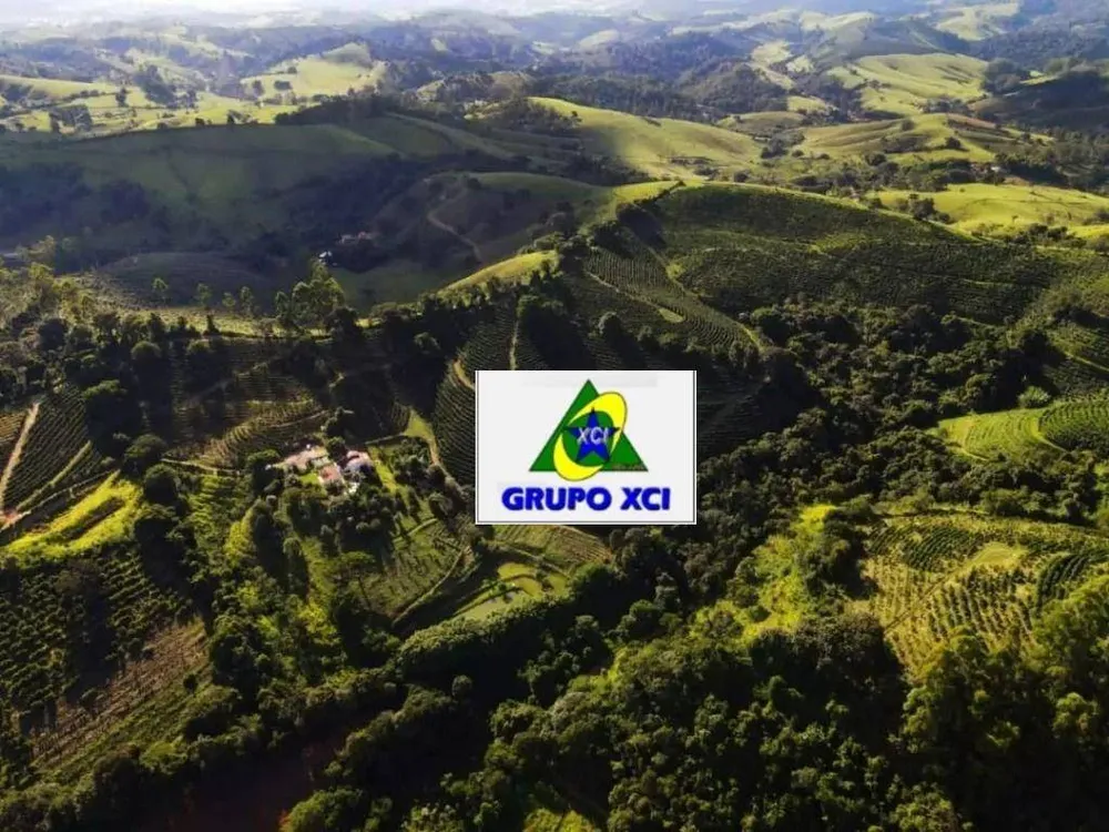 Fazenda, 97 hectares - Foto 8