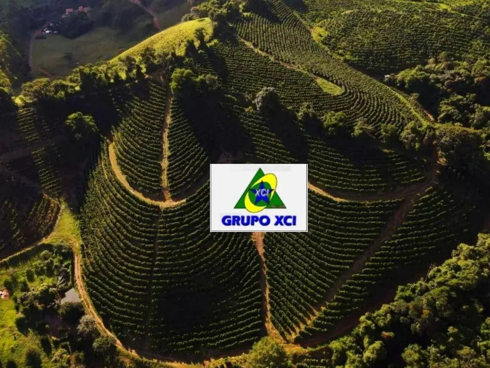 Fazenda, 97 hectares - Foto 7