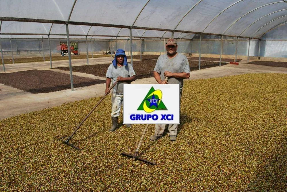 Fazenda, 97 hectares - Foto 6