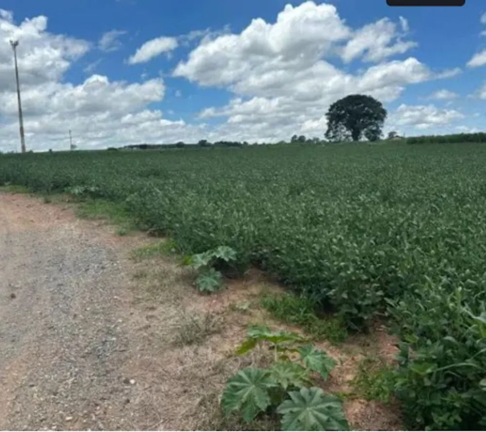 Terreno, 3 hectares - Foto 2