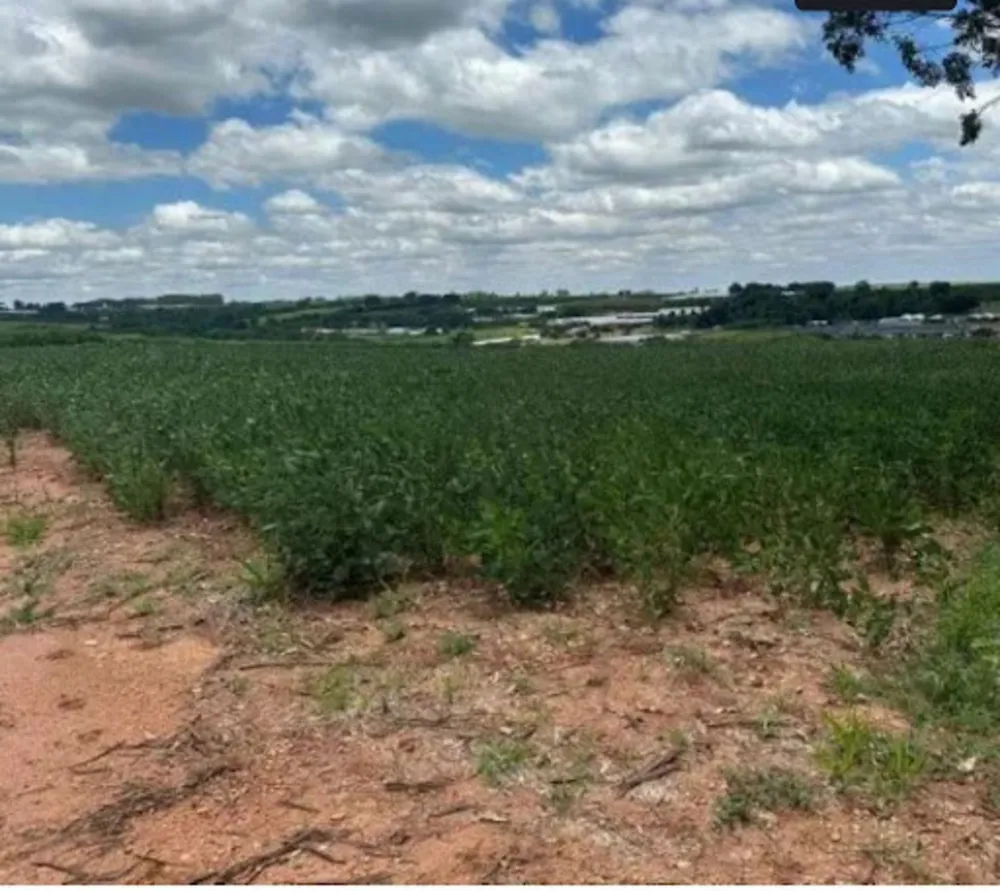 Terreno, 3 hectares - Foto 1