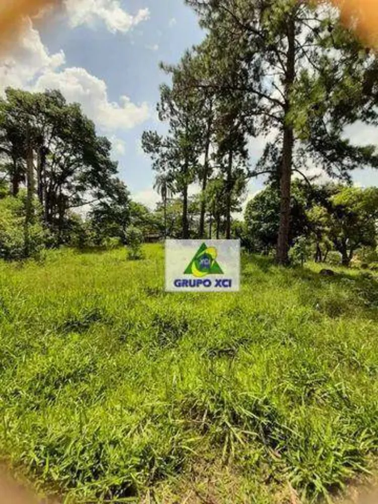 Fazenda, 5 hectares - Foto 7