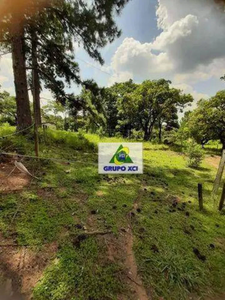 Fazenda, 5 hectares - Foto 4