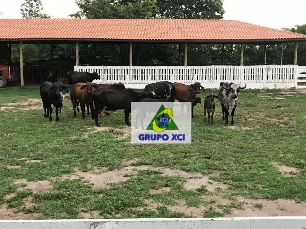 Sítio, 16 quartos, 18 hectares - Foto 3