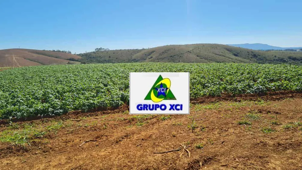 Fazenda, 380 hectares - Foto 7