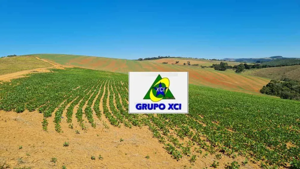 Fazenda, 380 hectares - Foto 4