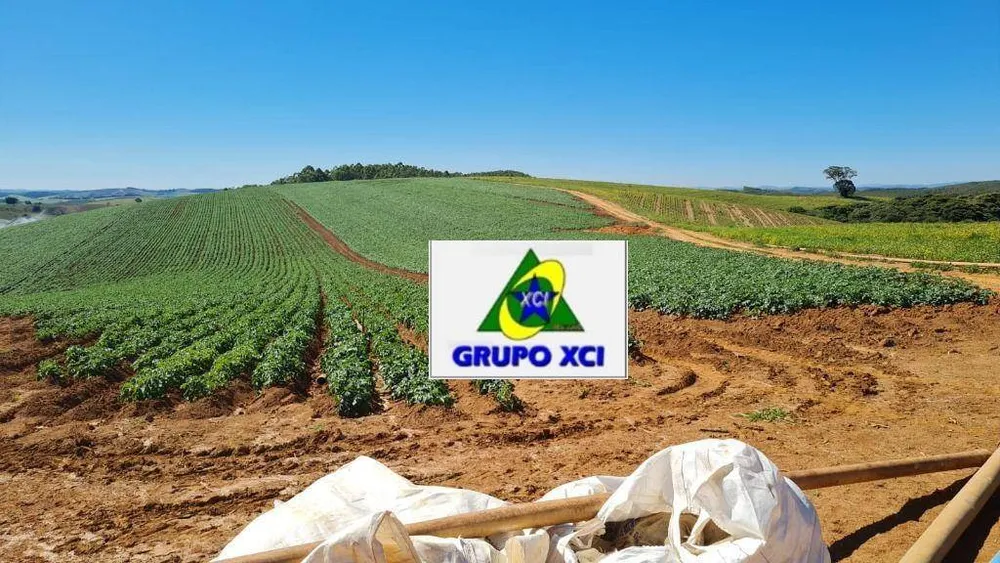Fazenda, 380 hectares - Foto 2