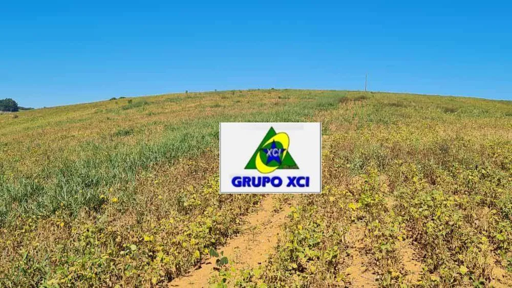 Fazenda, 380 hectares - Foto 8