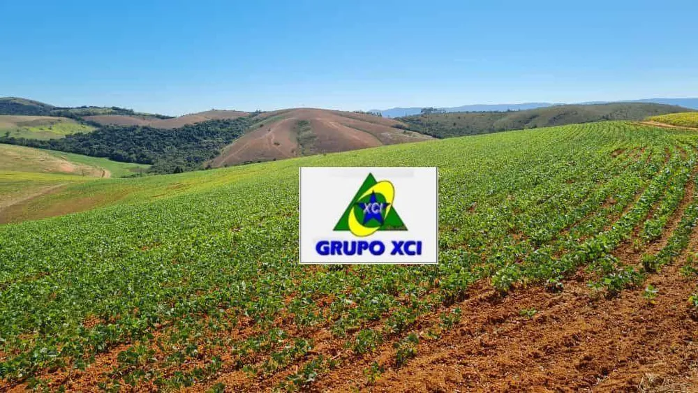 Fazenda, 380 hectares - Foto 6