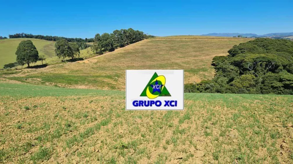 Fazenda, 380 hectares - Foto 12