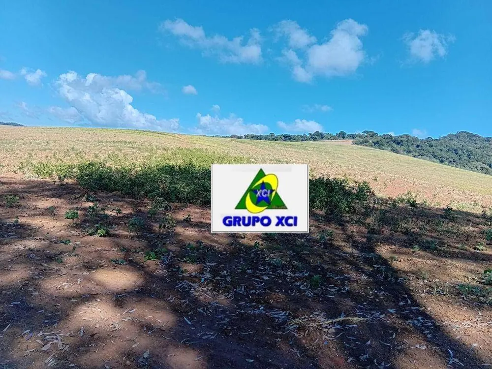 Fazenda, 678 hectares - Foto 12