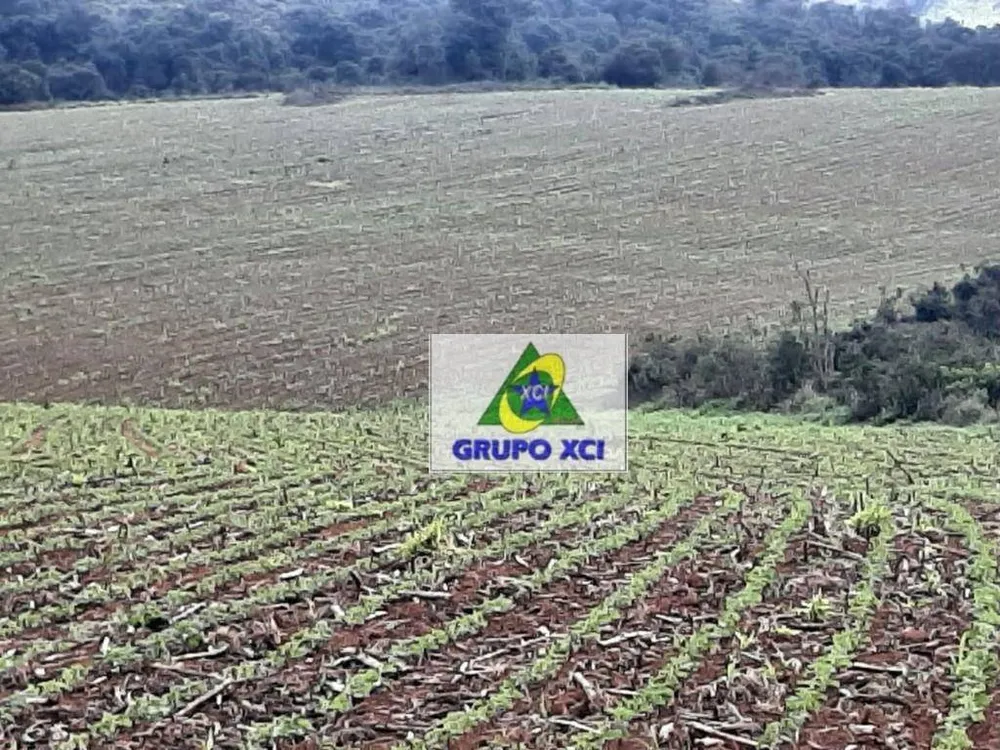 Fazenda, 678 hectares - Foto 6