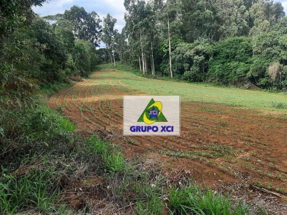 Fazenda, 678 hectares - Foto 10