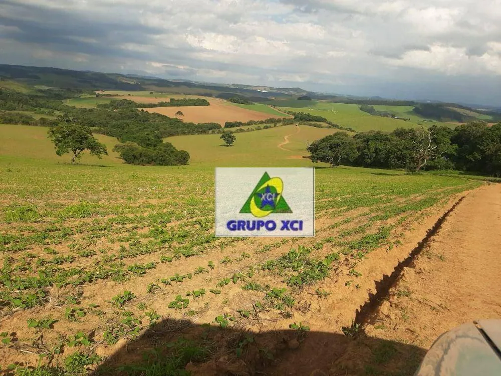 Fazenda, 678 hectares - Foto 9